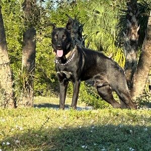 Meet your Posher, Eli